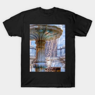 Over Flowing Fountain T-Shirt